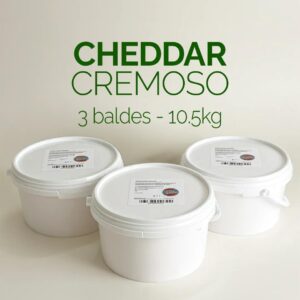 3 Baldes de Cheddar: 10,5kg ENTREGA GRÁTIS